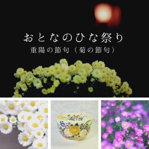 様々な色の菊の花の画像